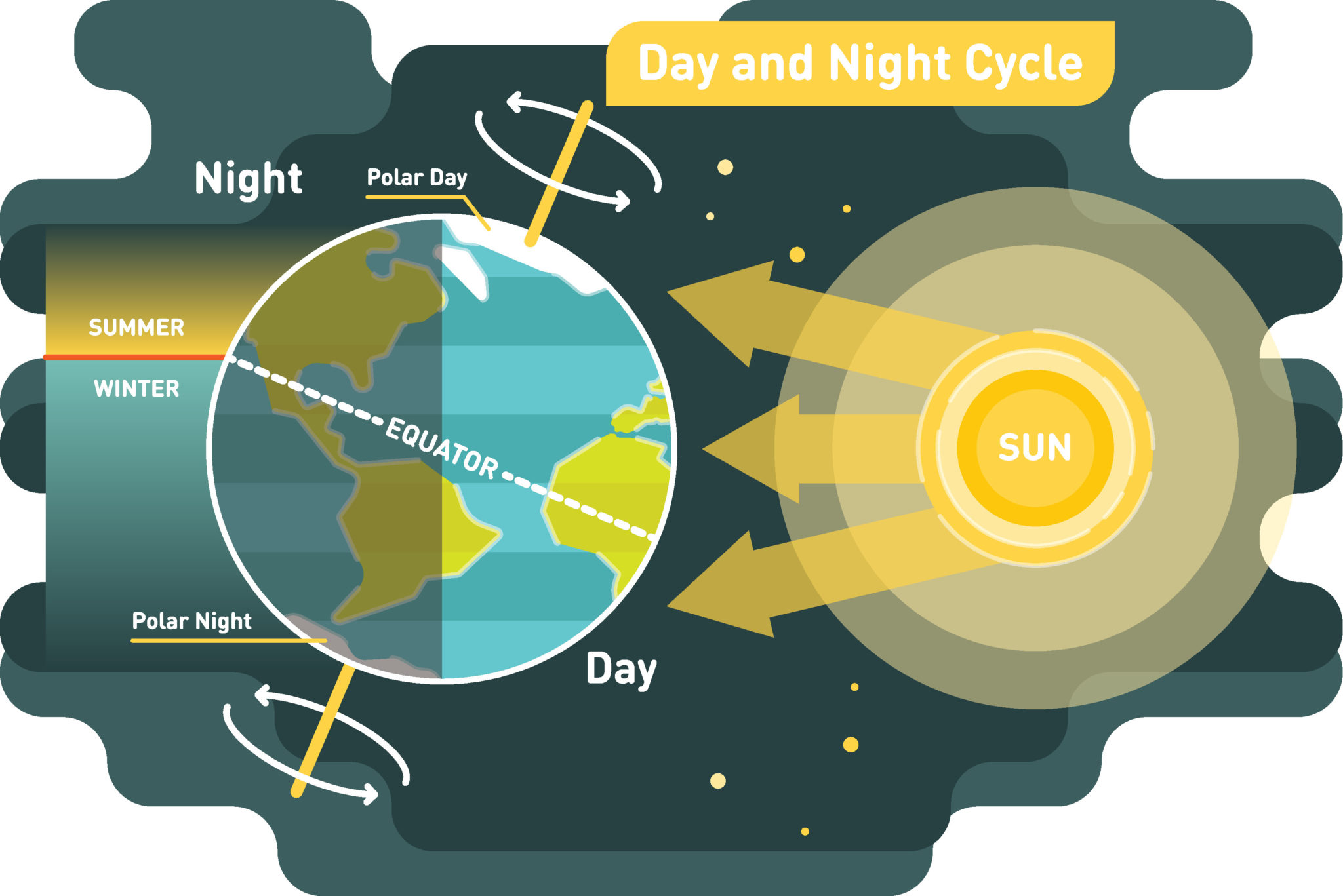 Диаграмма времена года. Day Night Cycle. Диаграмма день и ночь. Цикл дня и ночи. Цикл ночь.