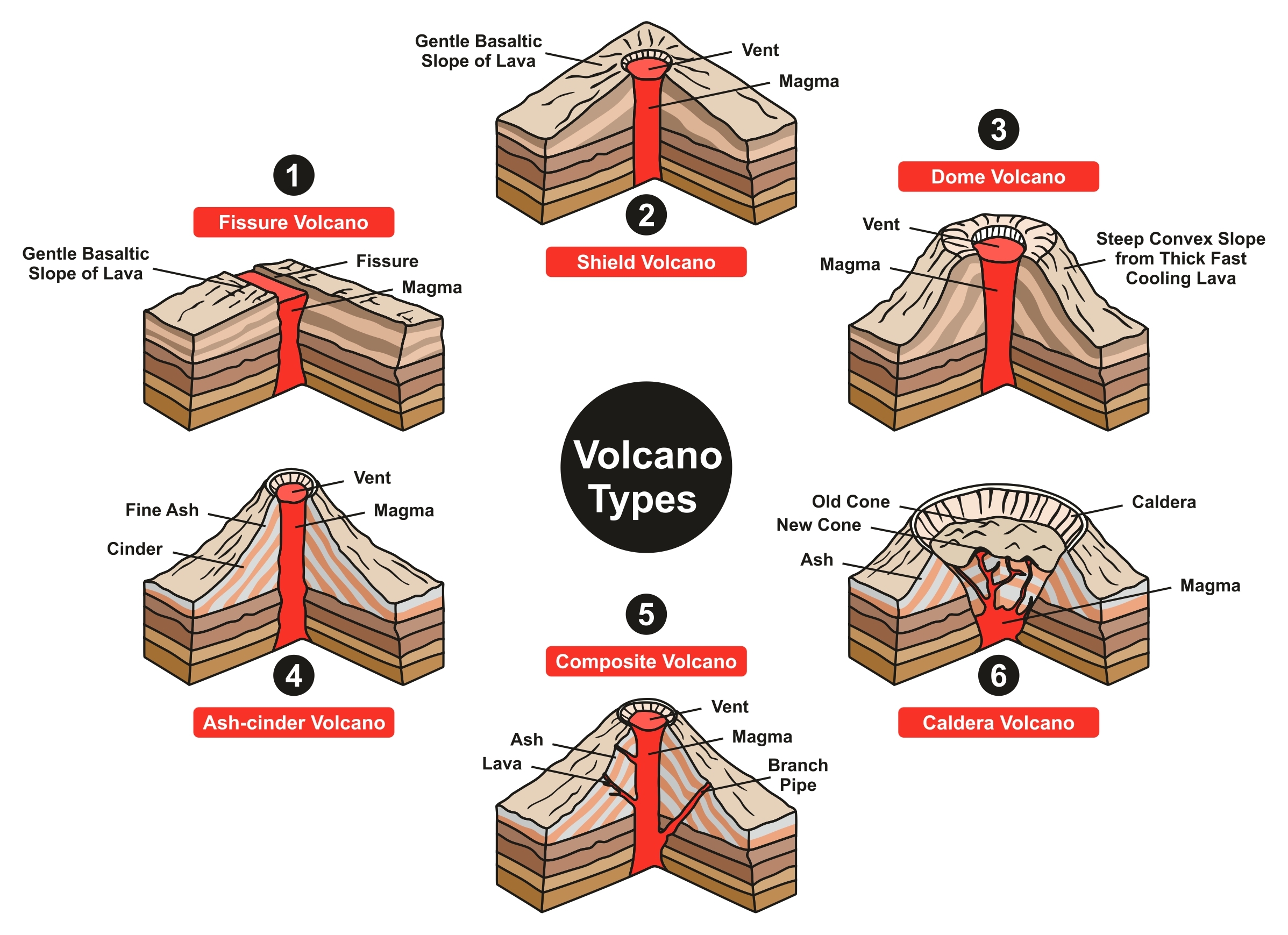 primary homework help volcano types
