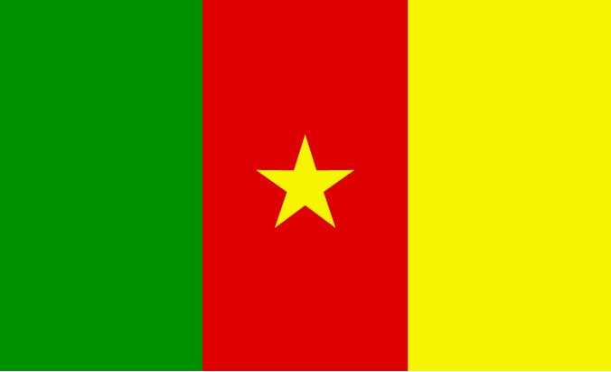 Flag of Cameroon