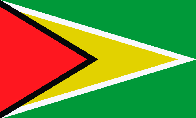 flag of Guyana