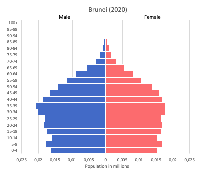 Population pyramid of Brunei (2020)