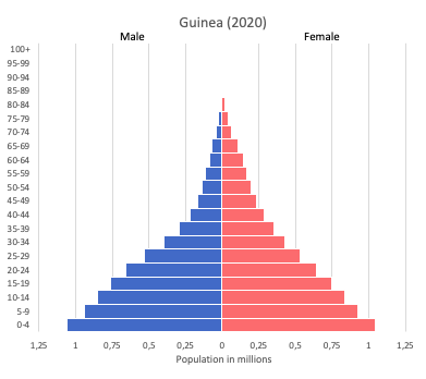 population pyramid of Guinea (2020)