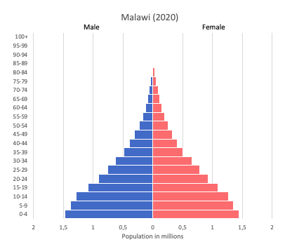 population pyramid of Malawi (2020)