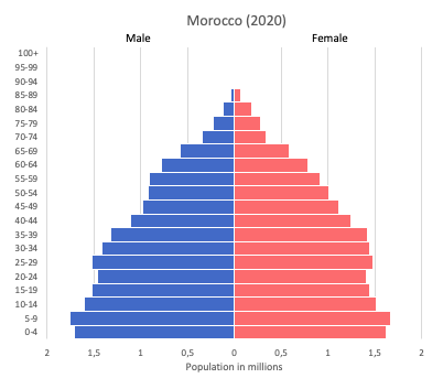 population pyramid of Morocco (2020)