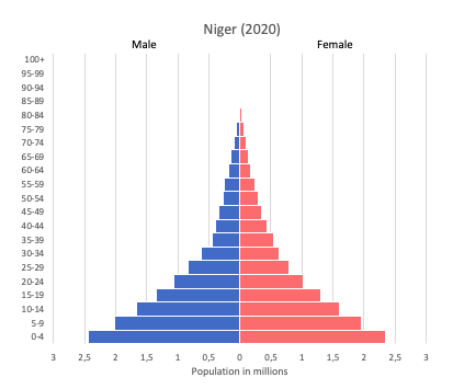 Population pyramid of Niger (2020)