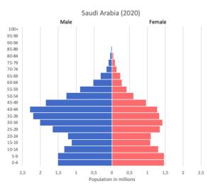 saudi pyramid demography