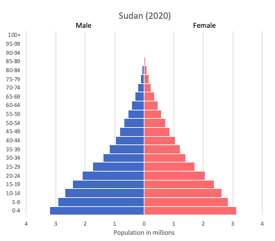 population pyramid of Sudan (2020)