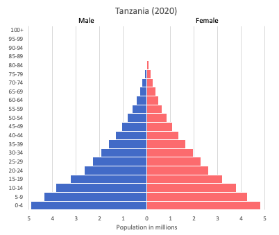 population pyramid of Tanzania (2020)