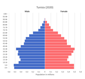 Tunisia Data And Statistics World In Maps   Population Pyramid Of Tunisia 1 300x277 