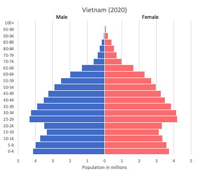 population pyramid of Vietnam (2020)