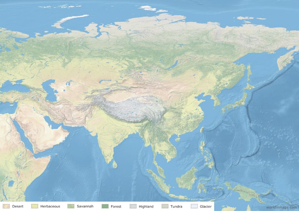 Land cover map of Asia