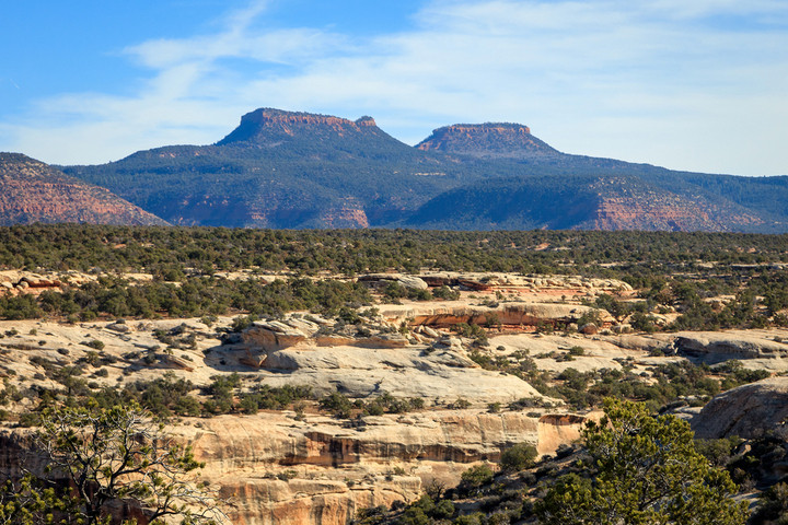 Bear ears national monument