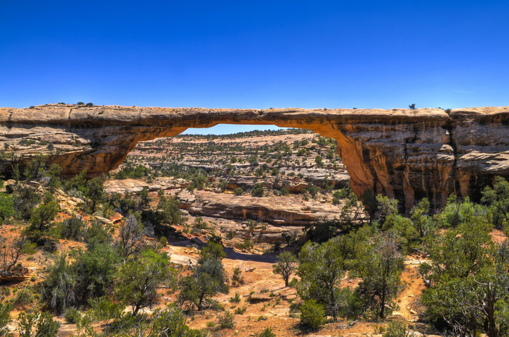 Owachomo Bridge in the Natural Bridges National Park