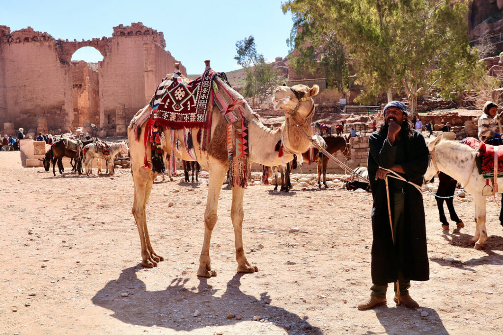 A Bedouin with his camel, representing the traditional way of life and the guardianship of Petra's ancient legacy.
