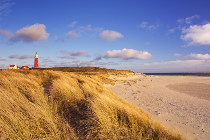 picture of Texel in the wadden islands