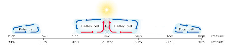 Polar cell diagram